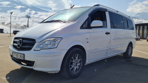 مرسيدس فيتو